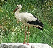 �R�E�m�g��