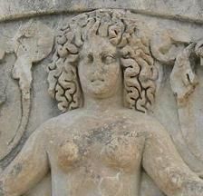 ���h�E�[�T�̑�