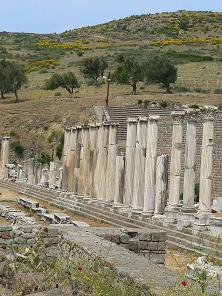 �A�N�X���s�I���̈��