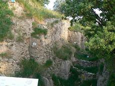 ���w�ɂ��Ȃ��Ă�����