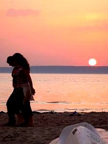 �G�[�Q�C�̗���