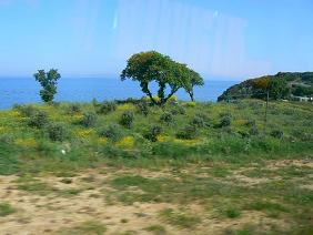 �}���}���C