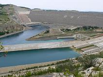 ���[�t���e�X��̃_��