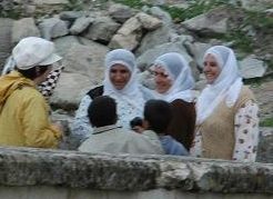 �g���R�̏����B