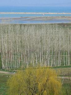 ���΂Ɣ��|�v��