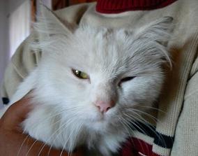 ���@���L