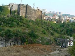 �r�U���`������̏��