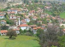 �T�t�����{���W�]